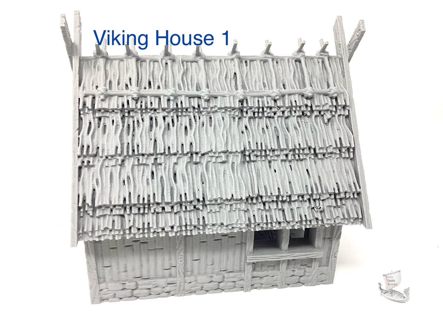 Viking House 1