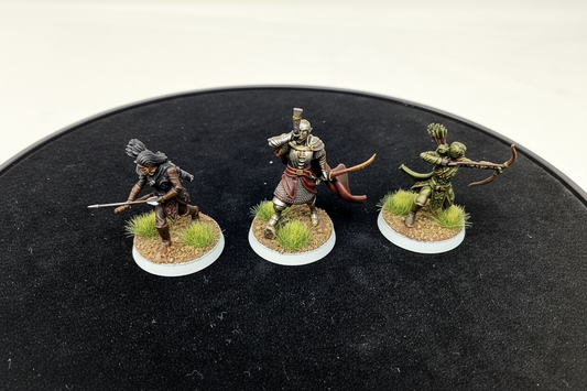 Brightwood Protectors x3