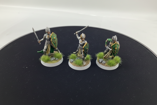 Elven Swordsmen x3