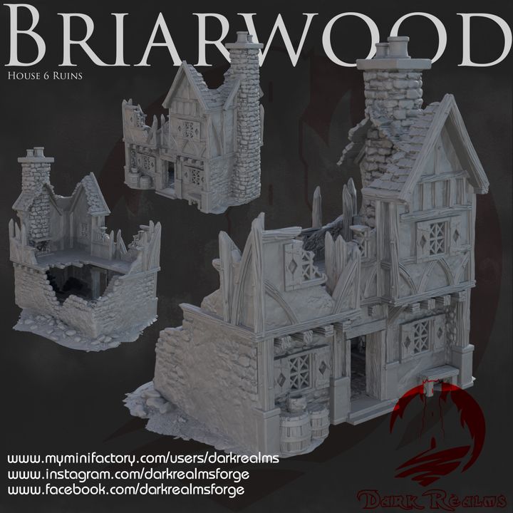 Briarwood House 6 Ruins