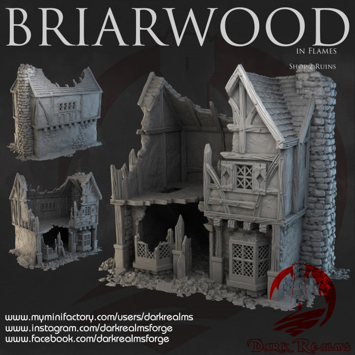 Briarwood Shop 2 Ruins