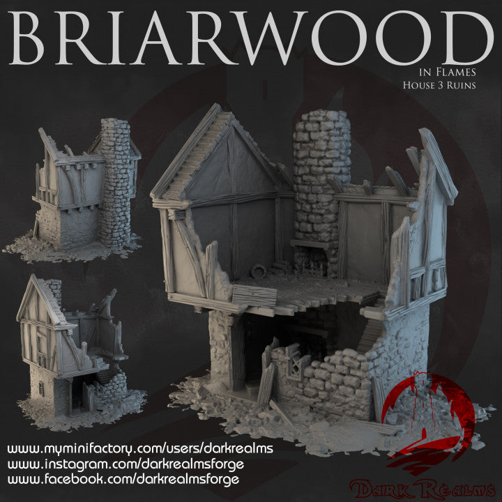 Briarwood House 3 Ruins