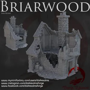 Briarwood House 5 Ruins