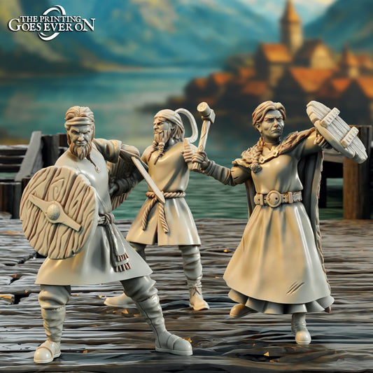 Driftport Militia Swordsmen. A fishing village on a lake.