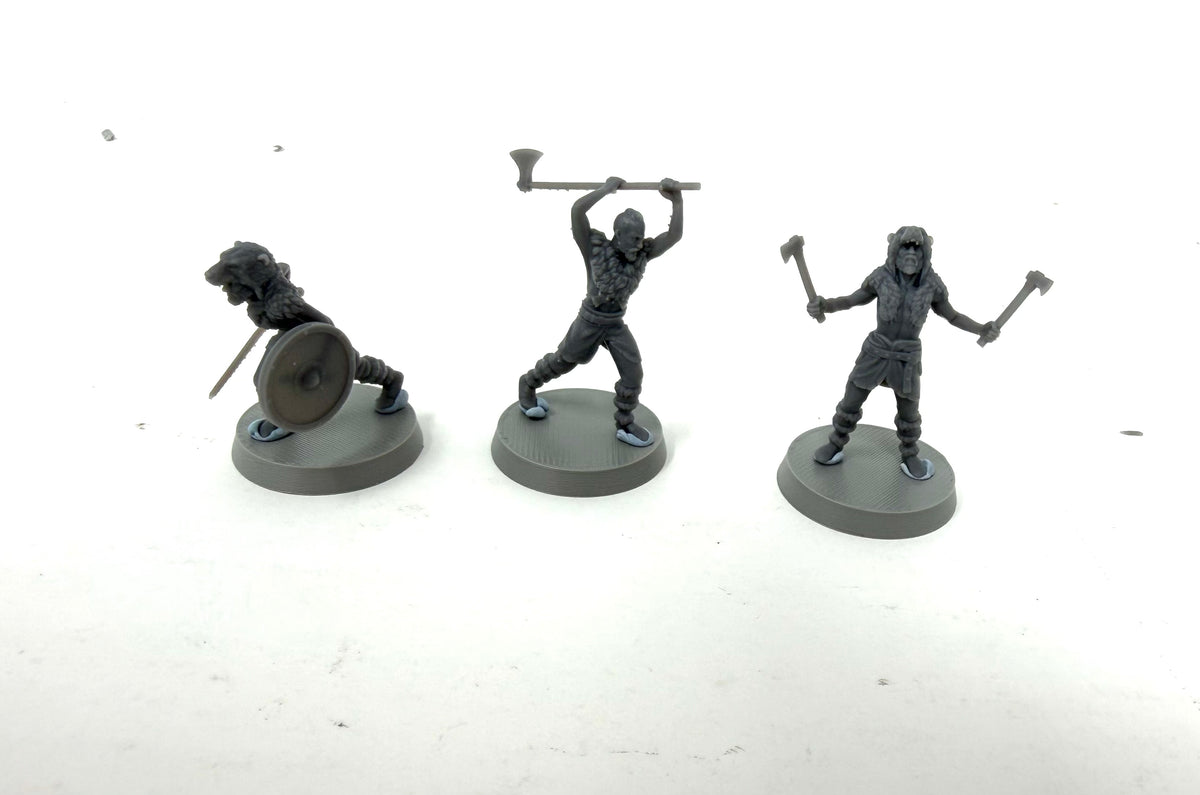 Viking Berserkers