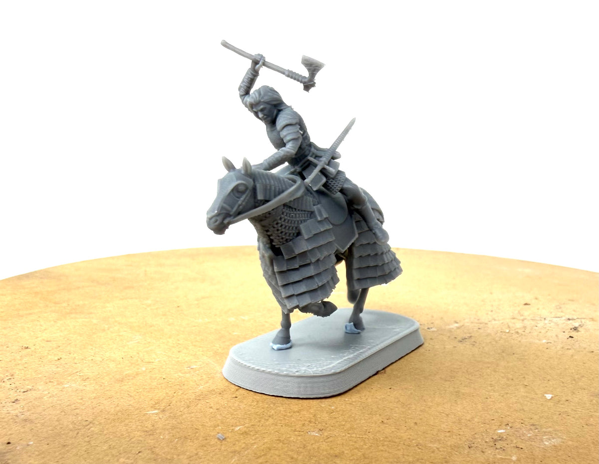 Harwin on foot and mounted