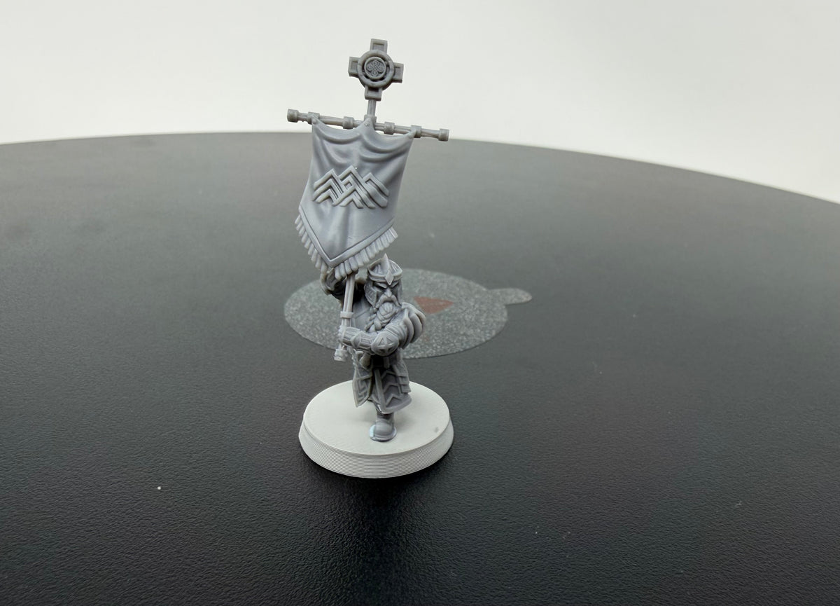 Iron Vanguard x6