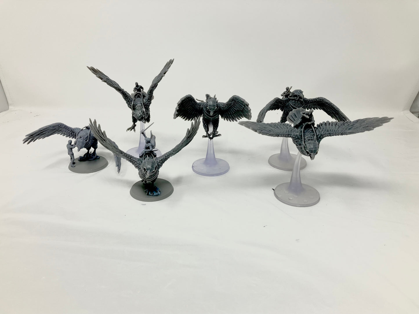 Vulturarii Rider Regiment