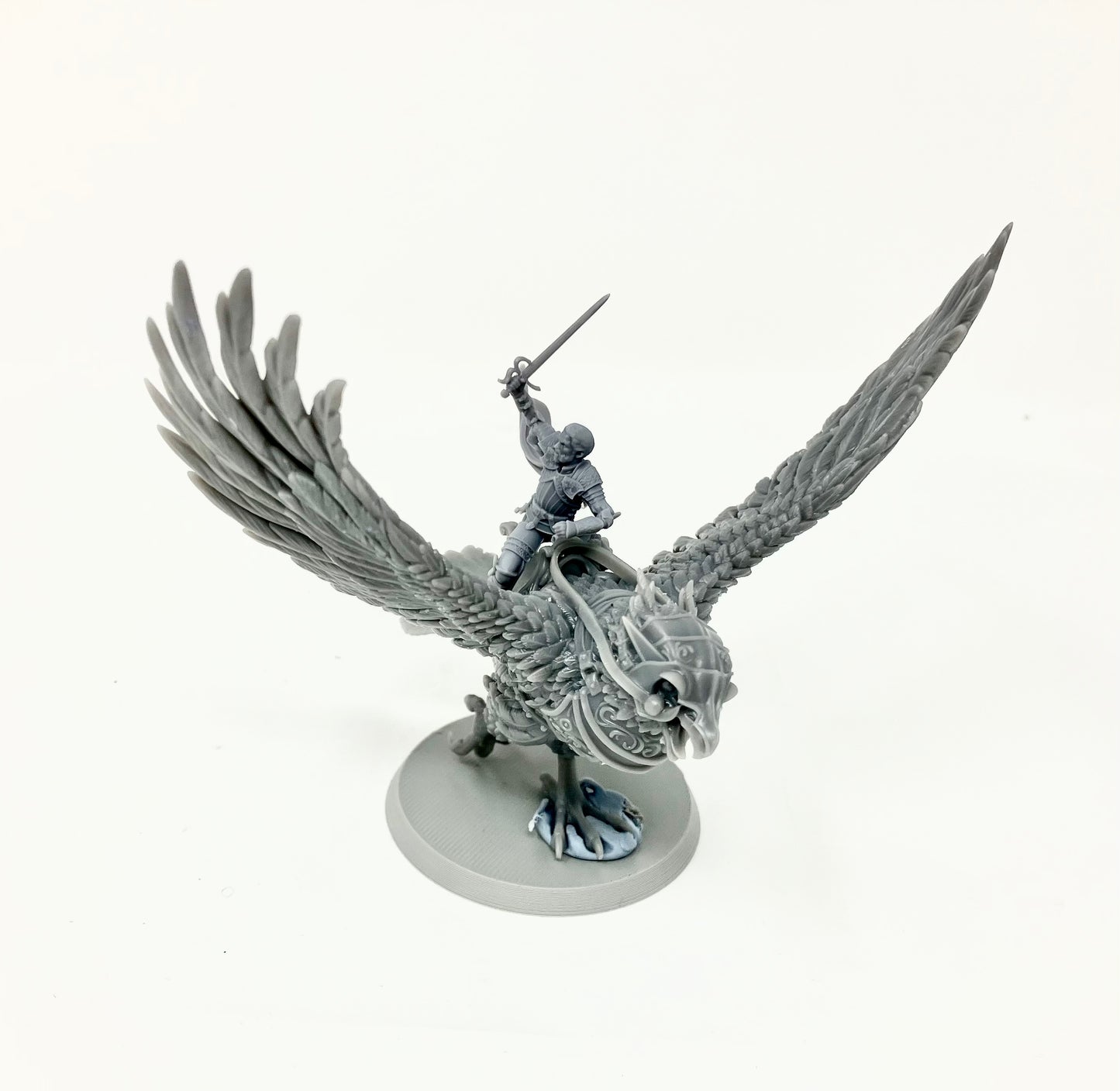 Vulturarii Rider Regiment