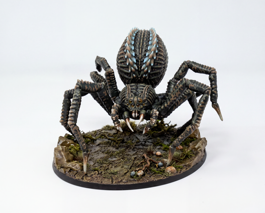 Umbrachnis, Spinner of Eternal Night