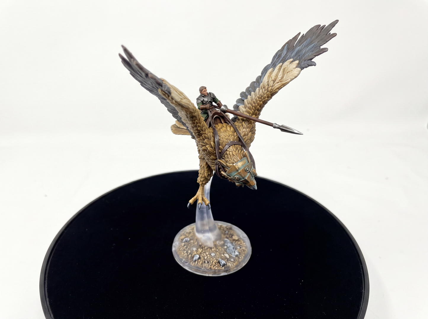 Vulturarii Rider Regiment