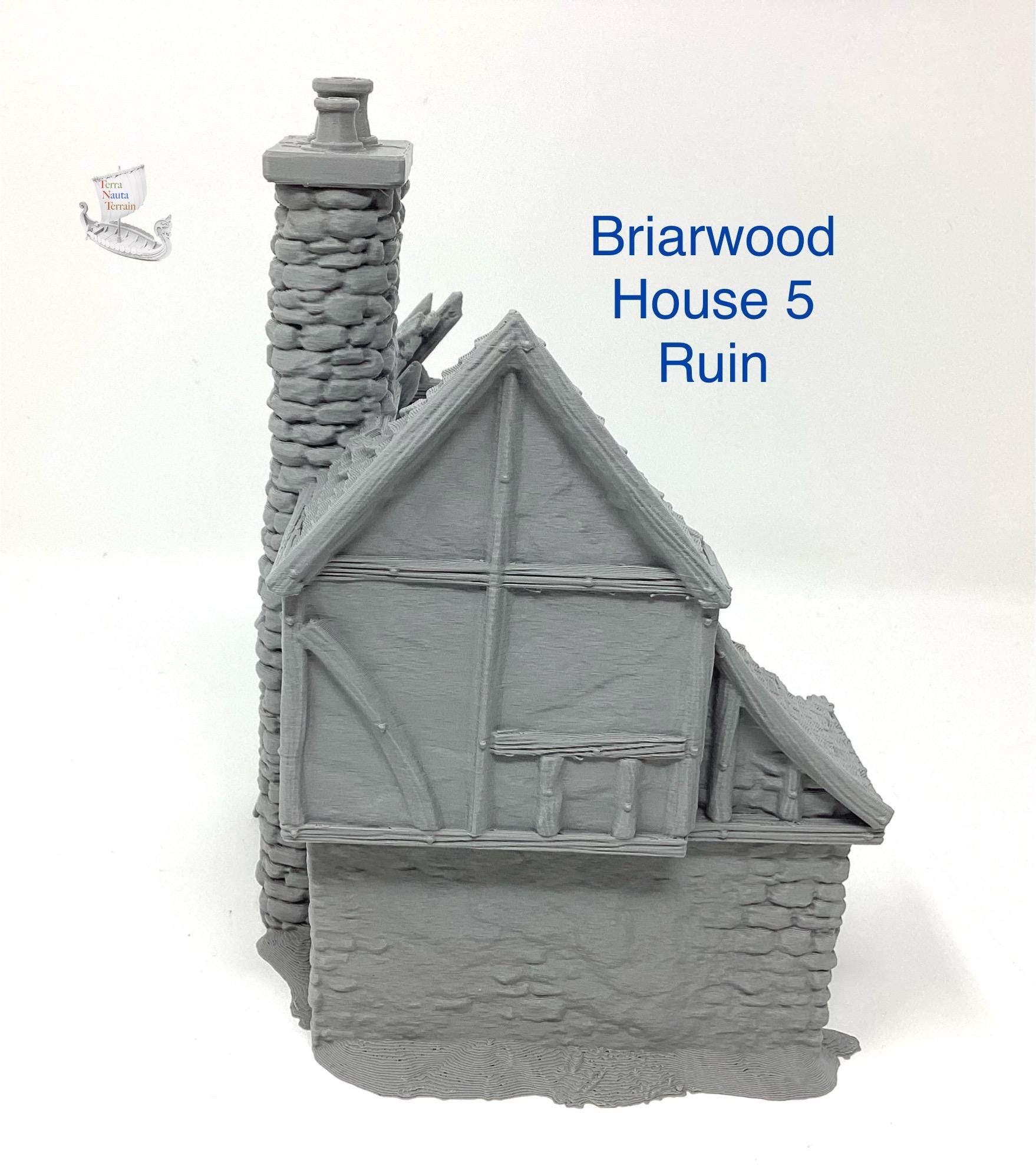 Briarwood House 5 Ruins