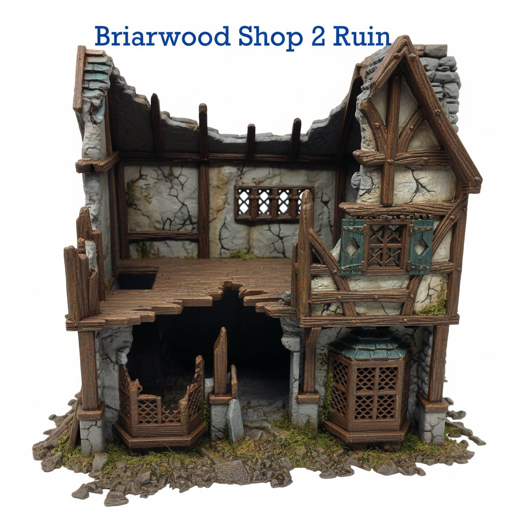 Briarwood Shop 2 Ruins