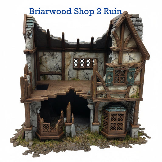 Briarwood Shop 2 Ruins