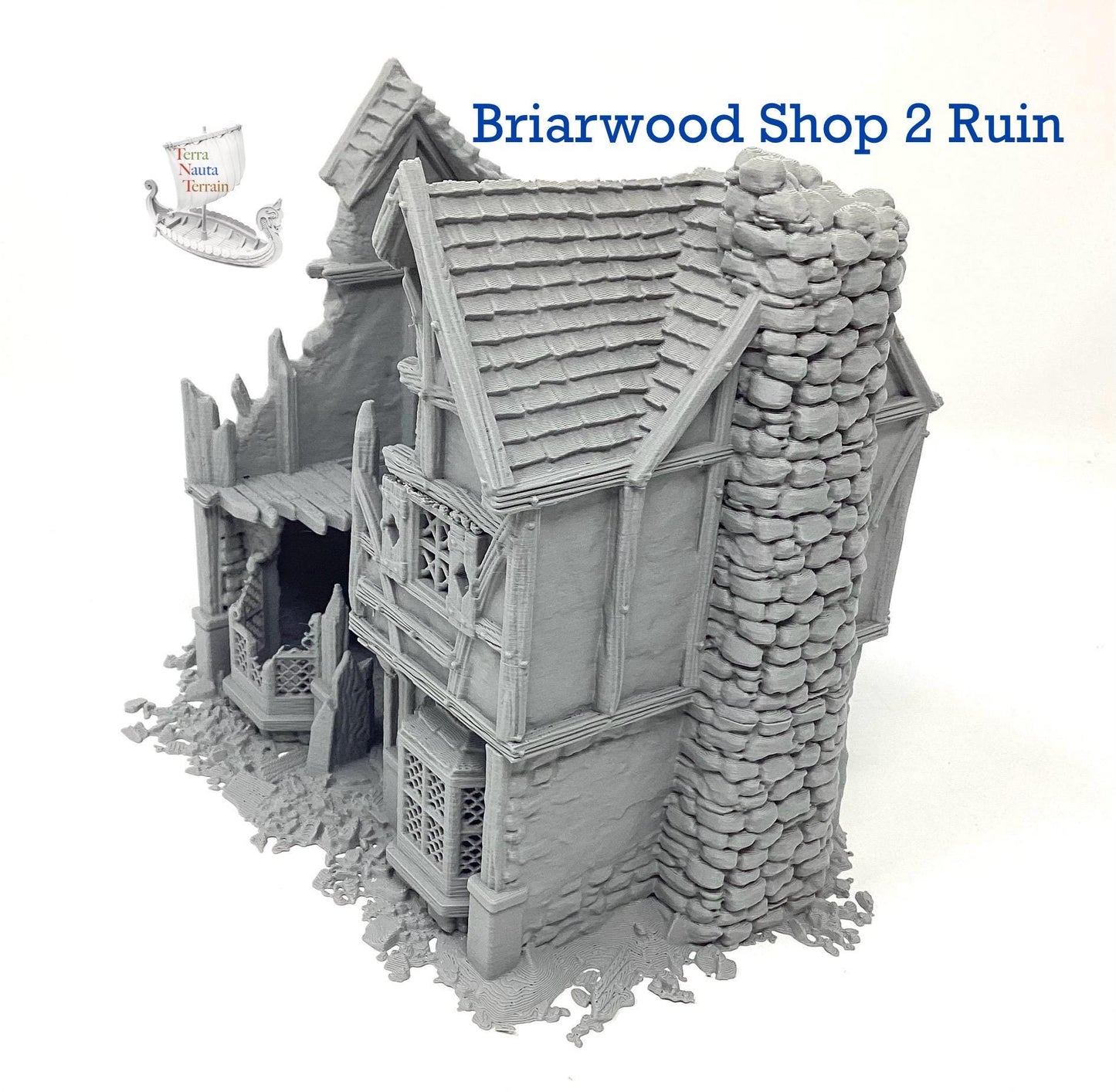 Briarwood Shop 2 Ruins