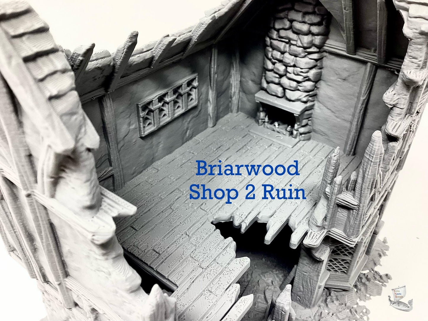 Briarwood Shop 2 Ruins