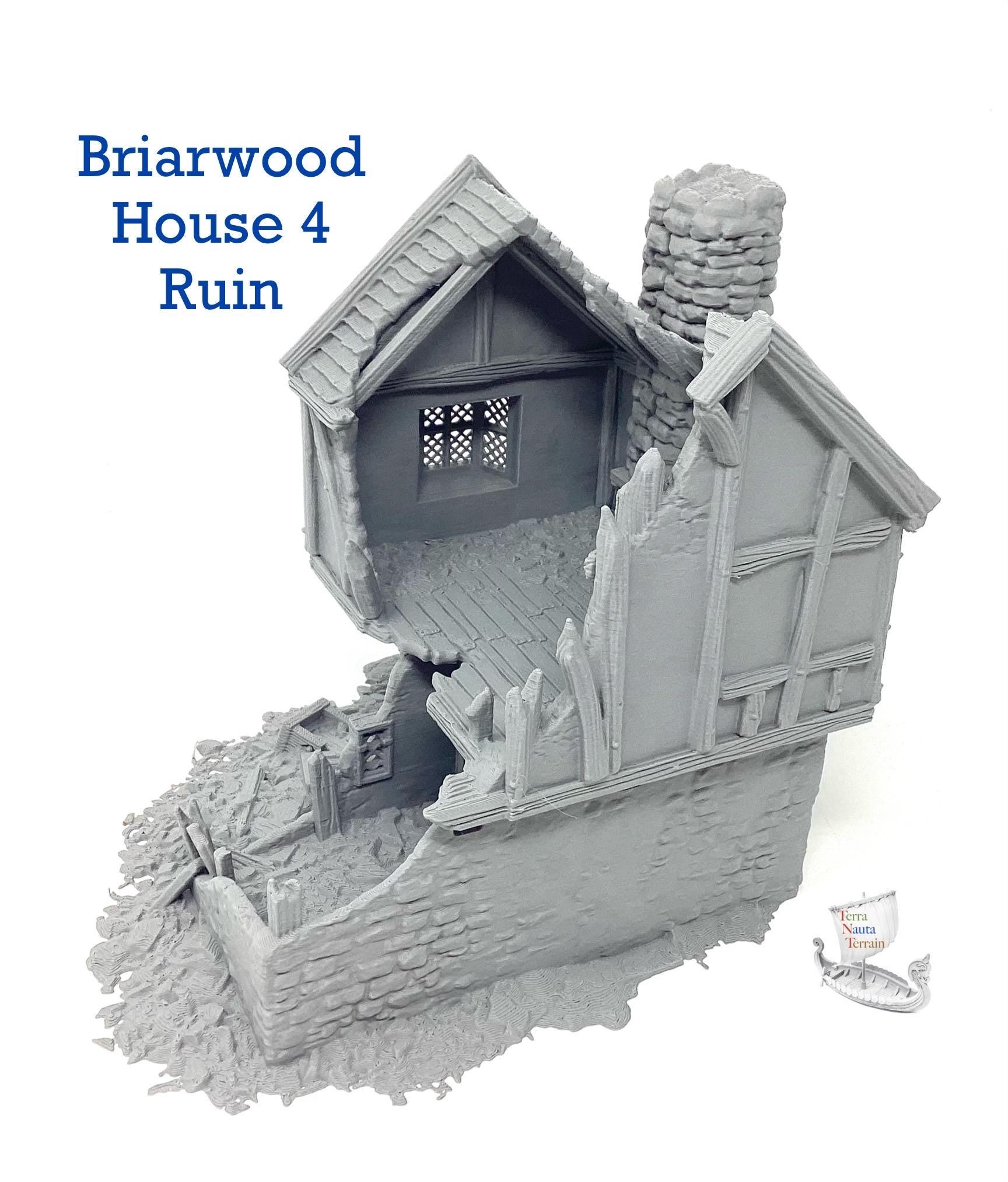 Briarwood House 4 Ruins