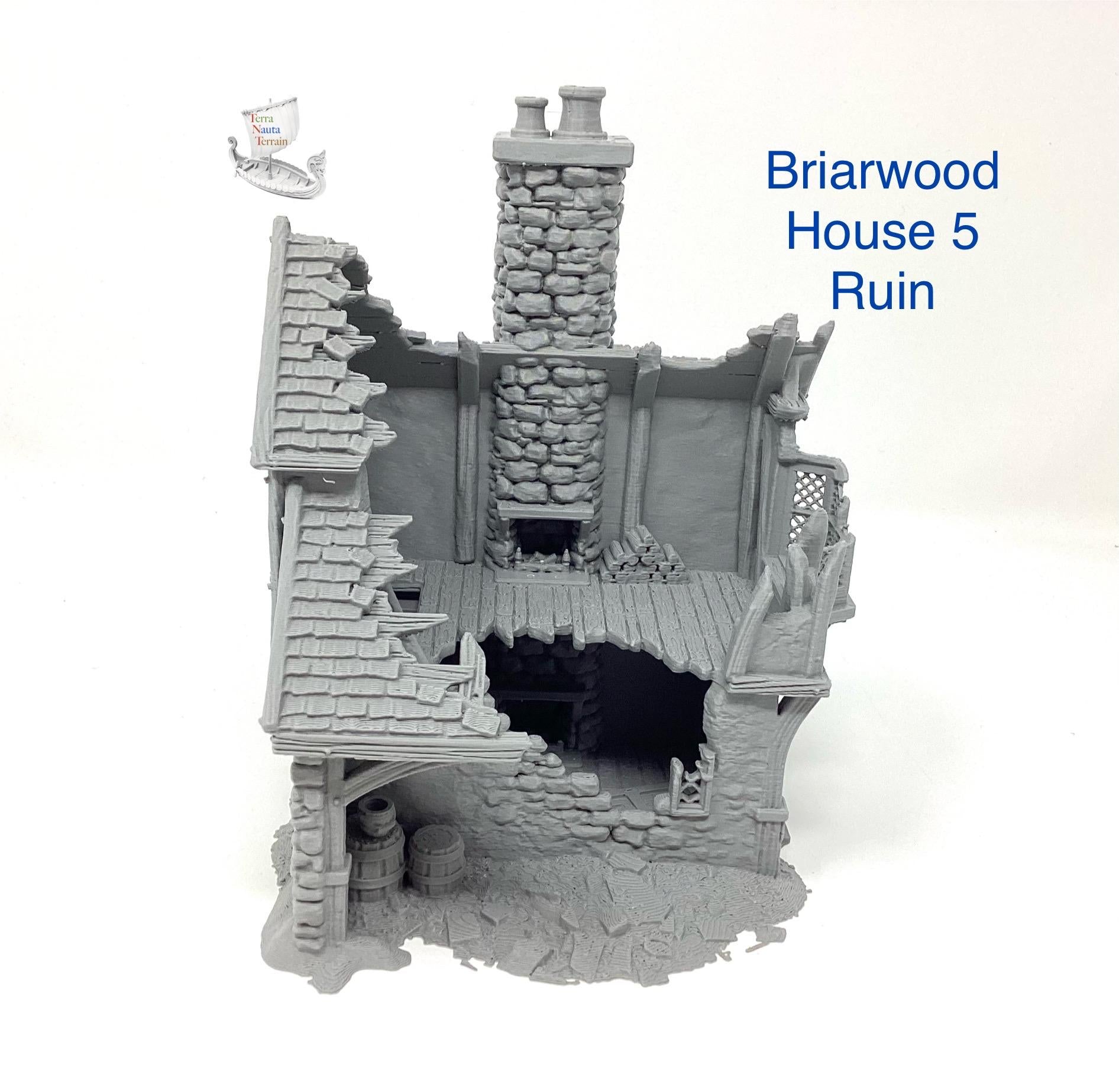Briarwood House 5 Ruins