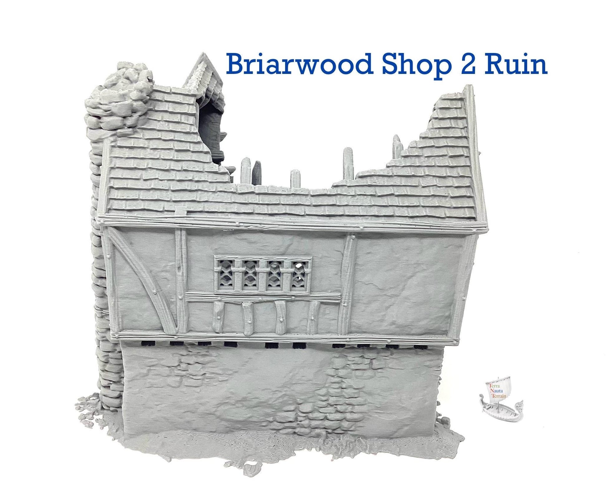Briarwood Shop 2 Ruins