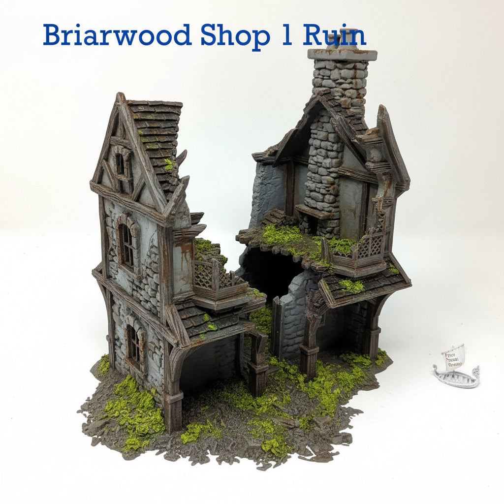 Briarwood Shop 1 Ruins
