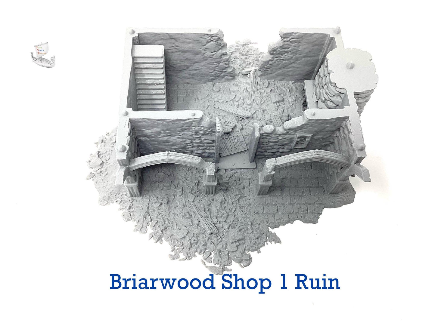 Briarwood Shop 1 Ruins