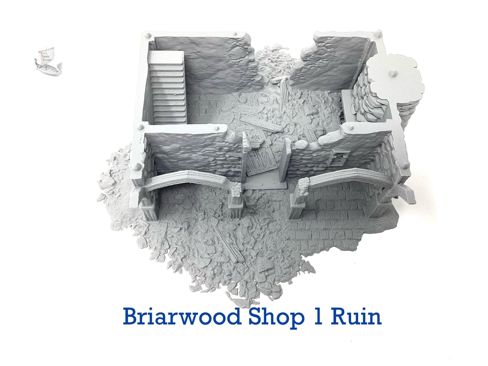 Briarwood Shop 1 Ruins