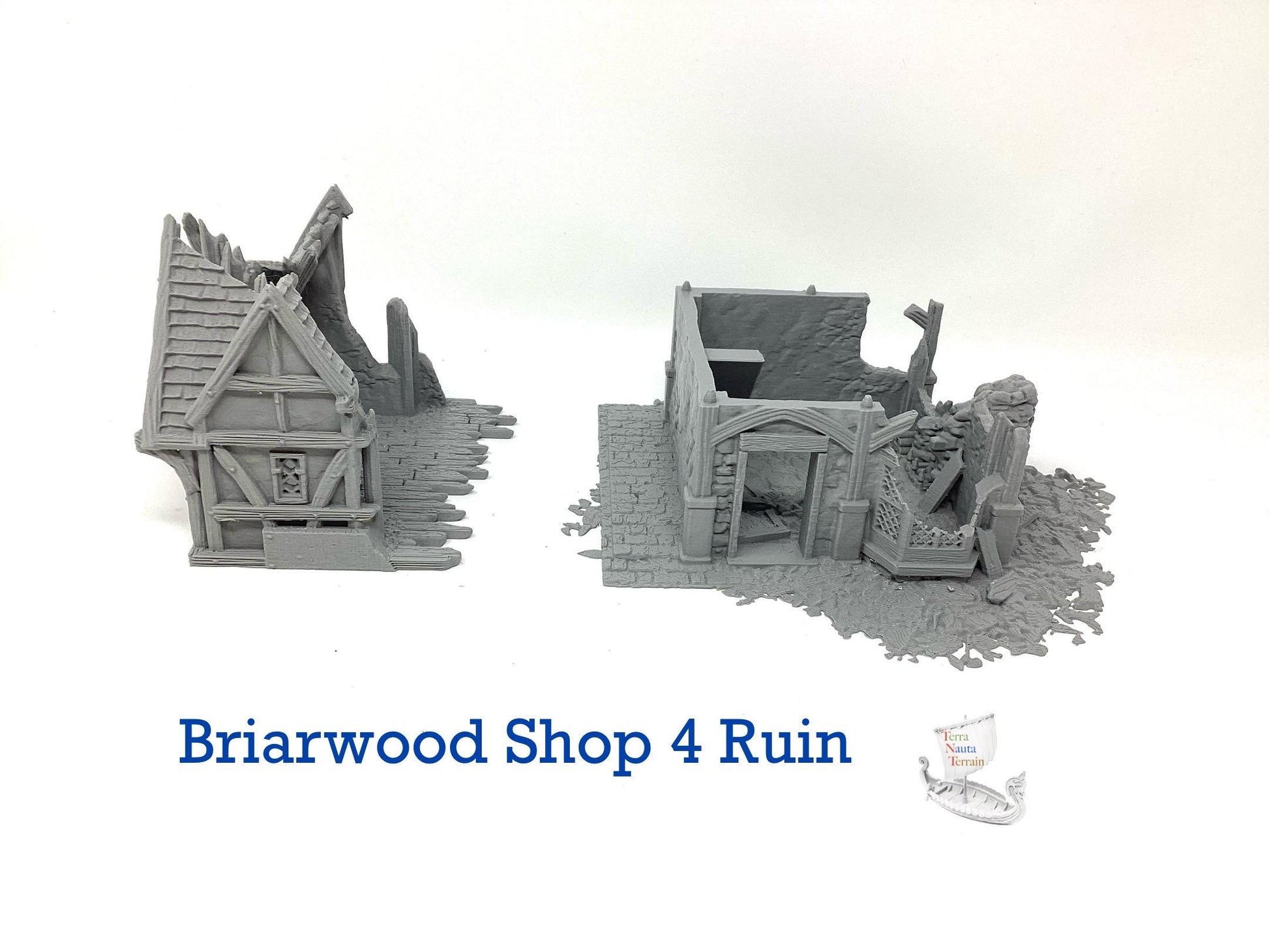 Briarwood Shop 4 Ruins