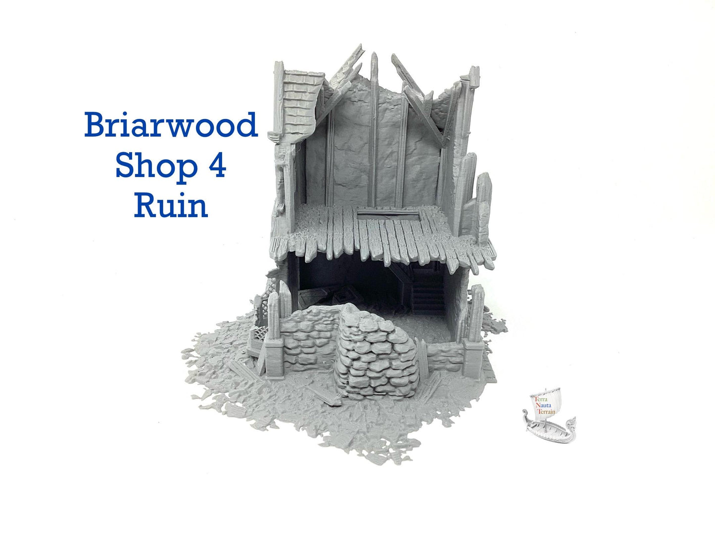 Briarwood Shop 4 Ruins