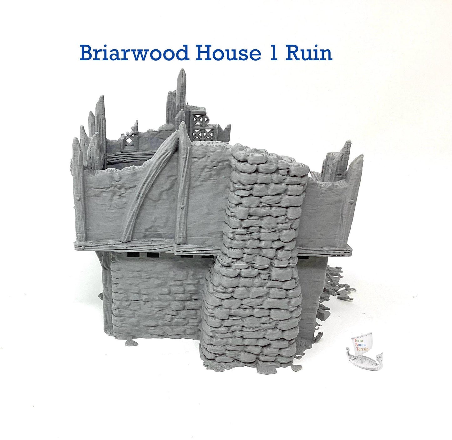 Briarwood House 1 Ruins