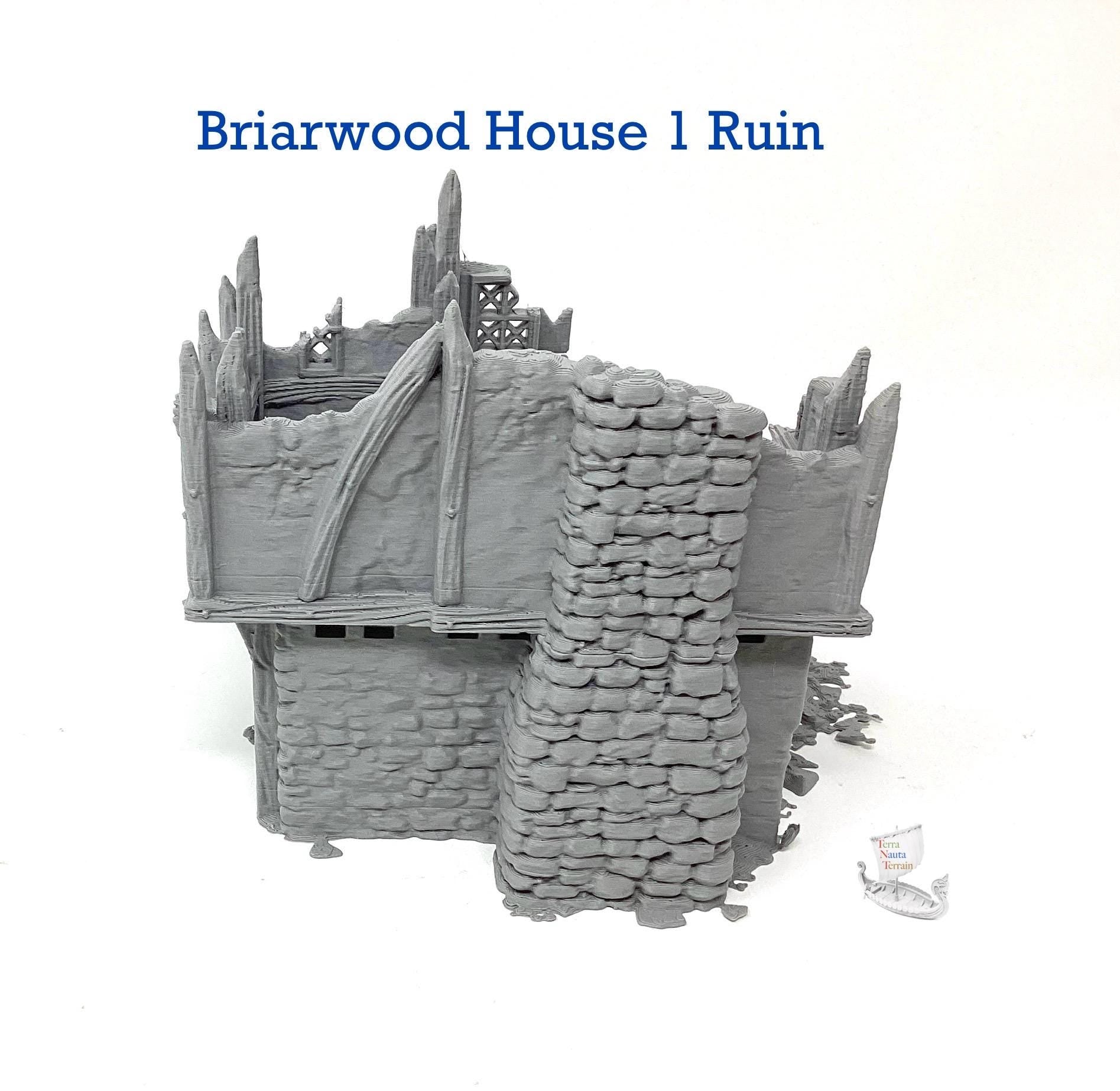 Briarwood House 1 Ruins