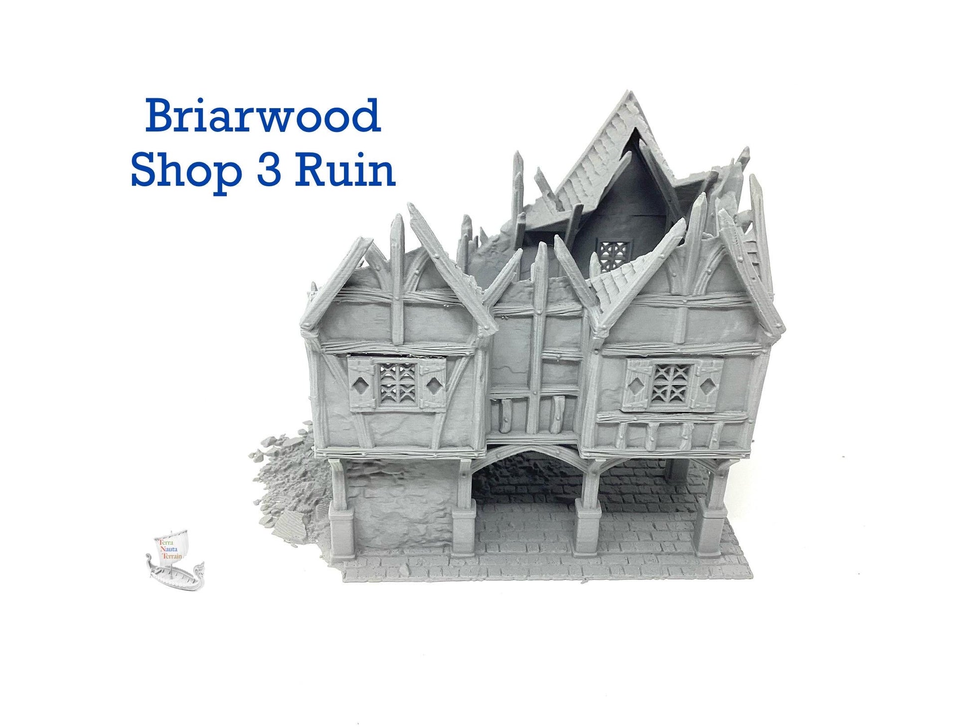 Briarwood Shop 3 Ruins