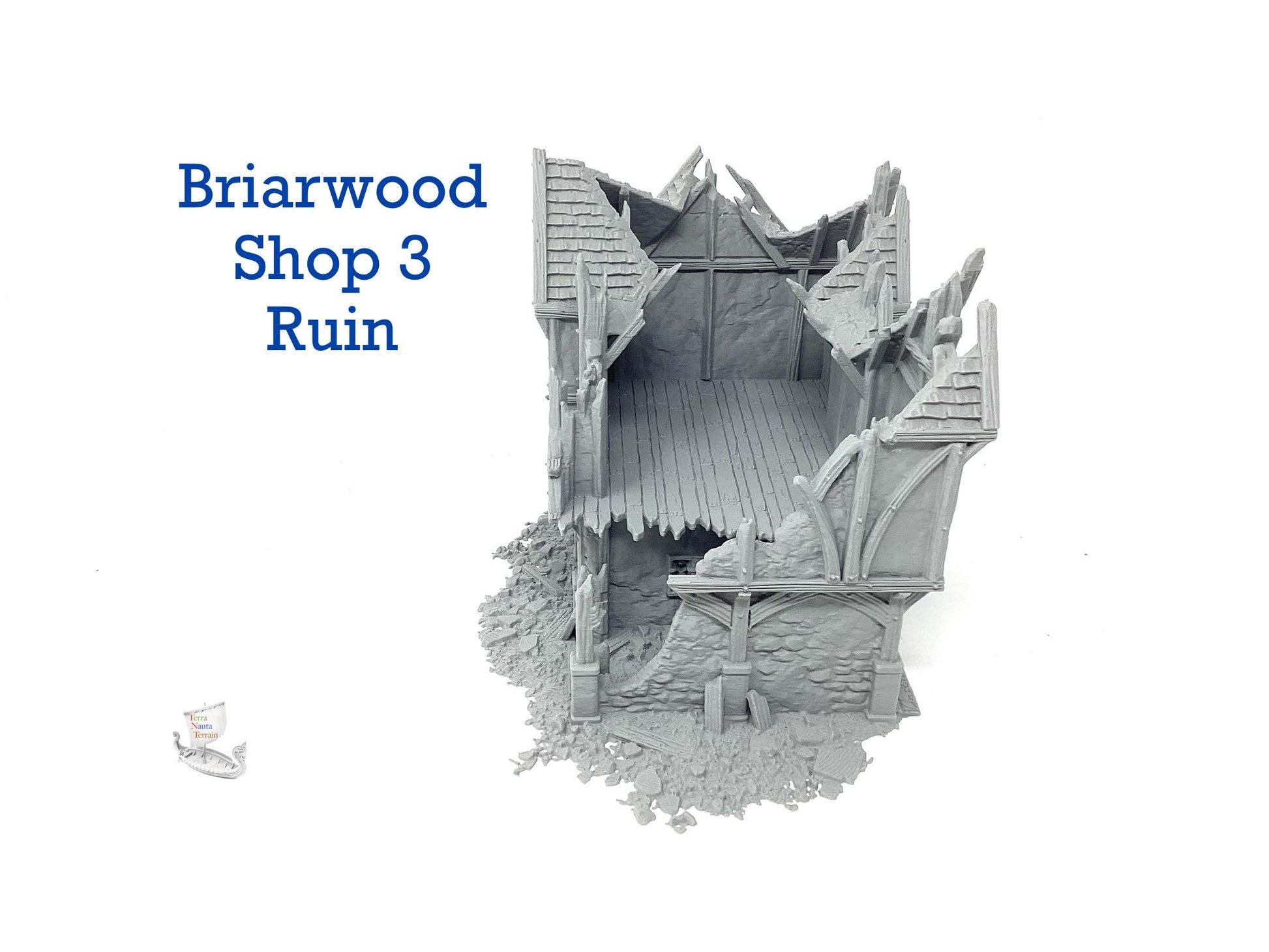 Briarwood Shop 3 Ruins