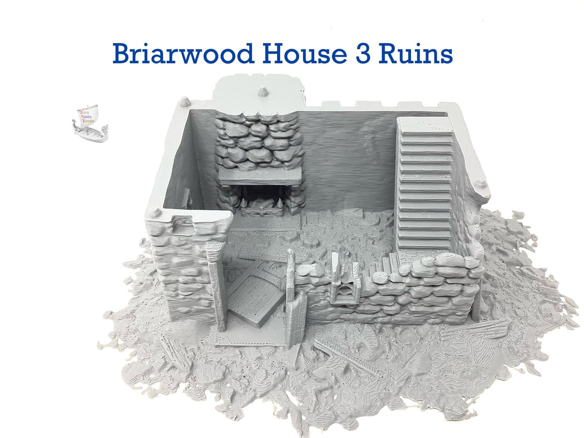 Briarwood House 3 Ruins