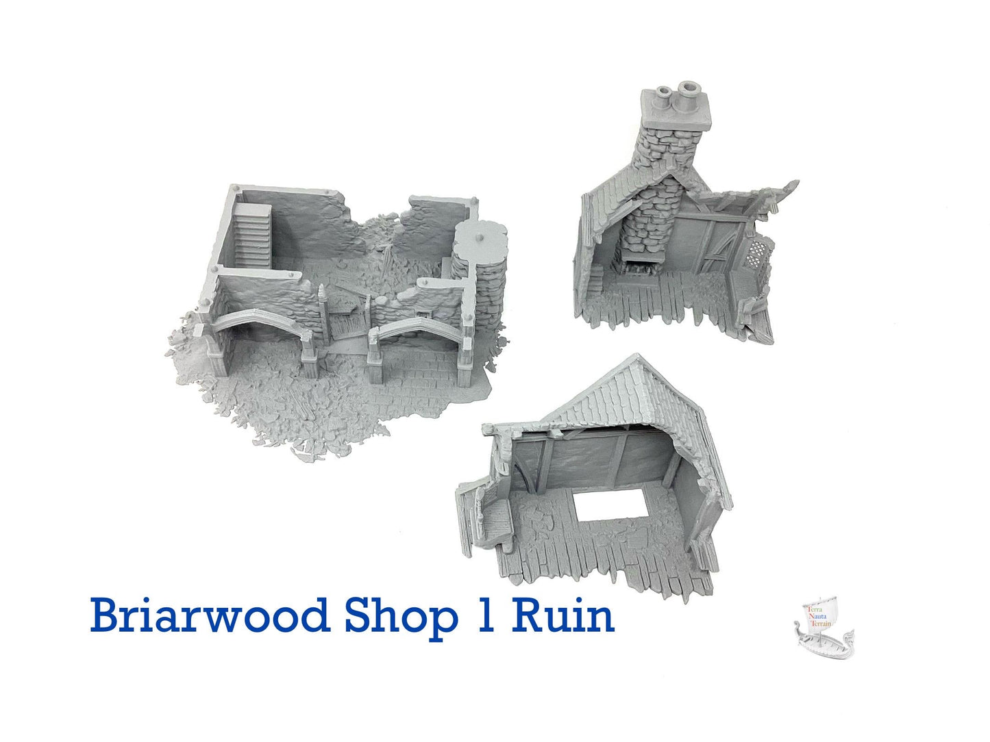 Briarwood Shop 1 Ruins
