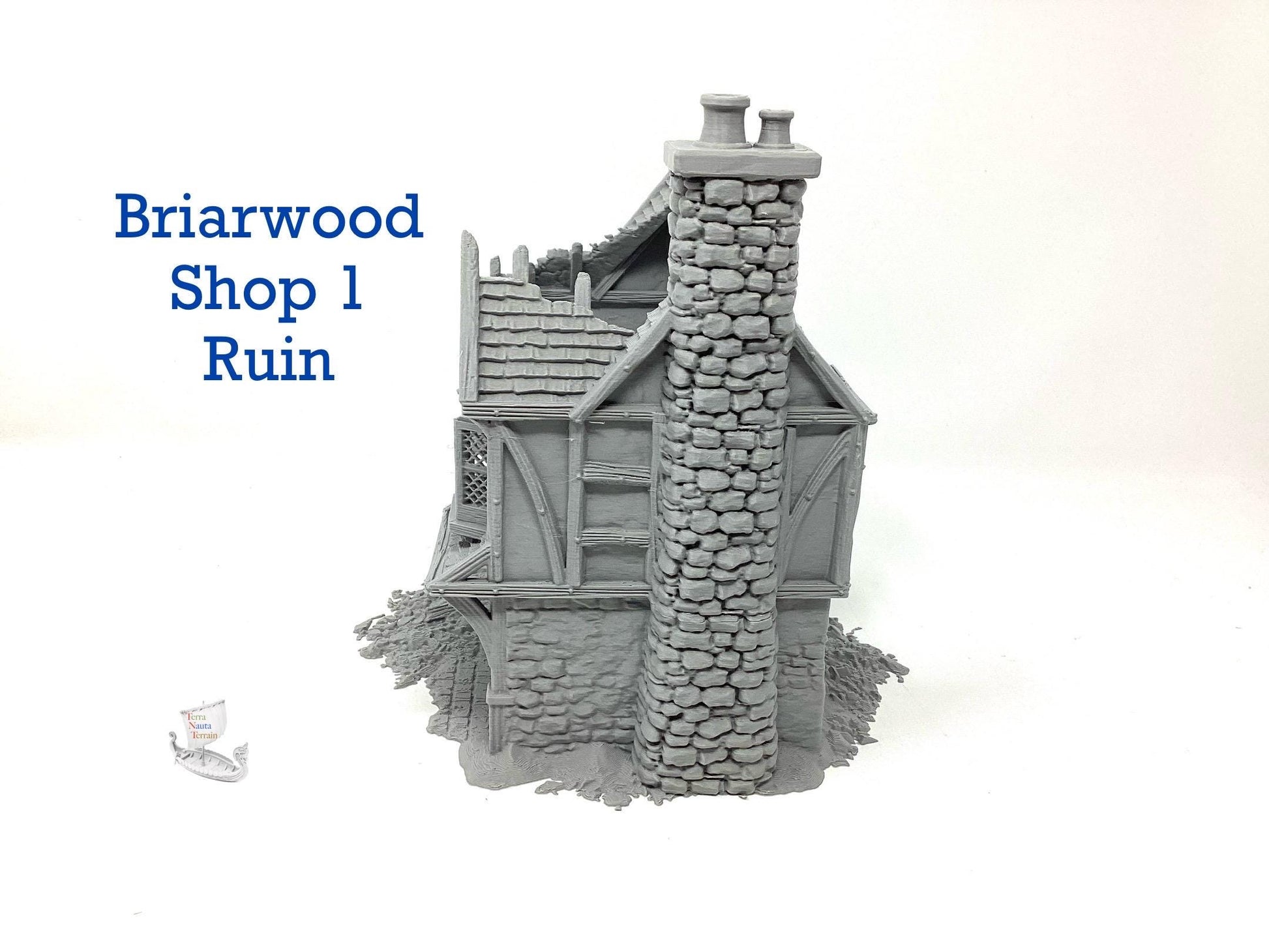 Briarwood Shop 1 Ruins