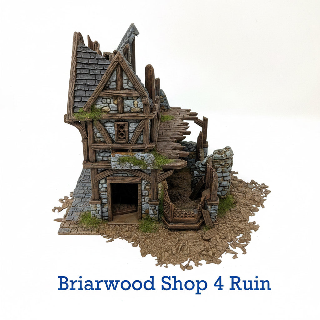 Briarwood Shop 4 Ruins