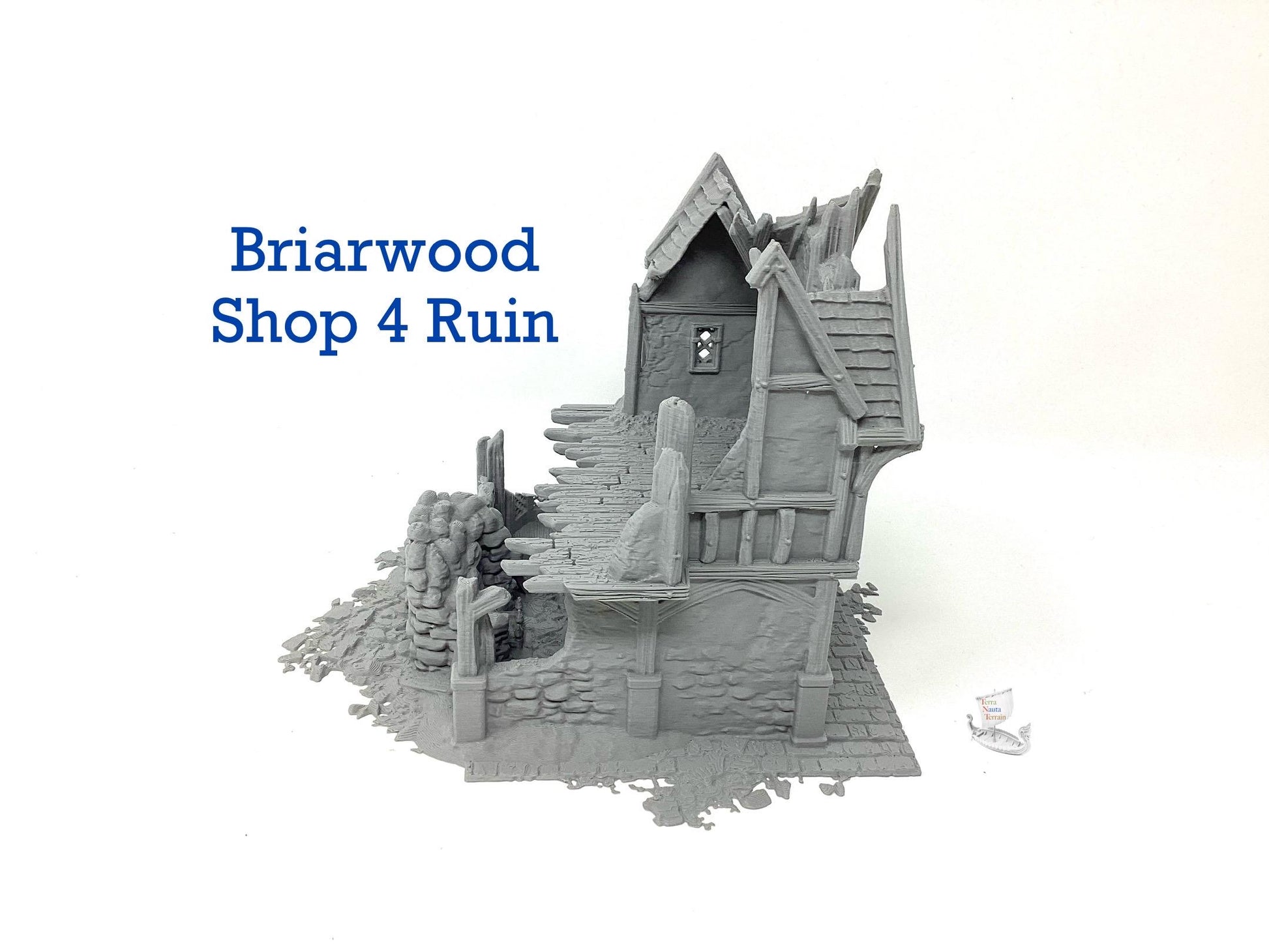 Briarwood Shop 4 Ruins