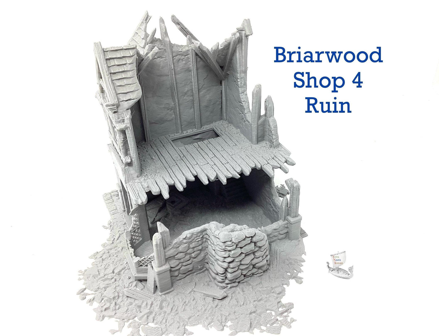 Briarwood Shop 4 Ruins