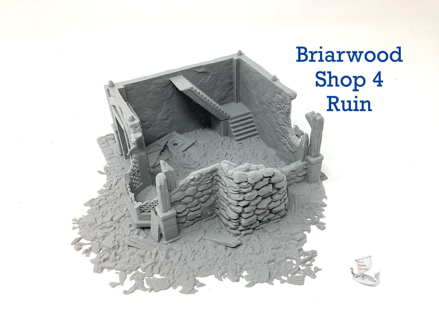 Briarwood Shop 4 Ruins