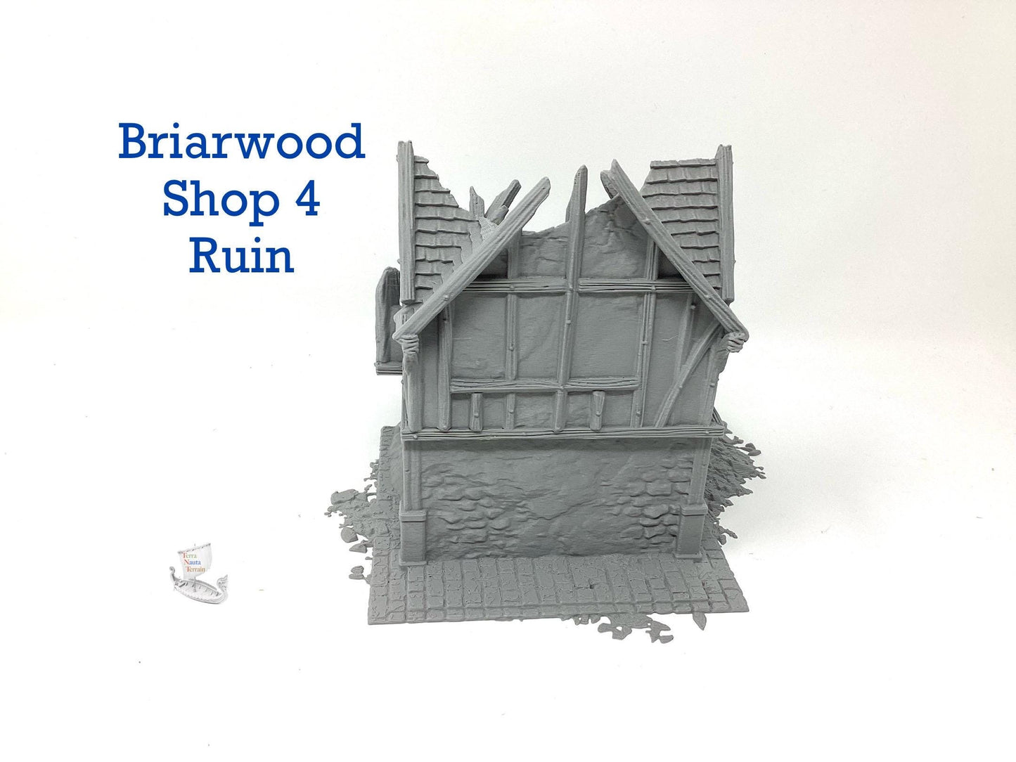 Briarwood Shop 4 Ruins