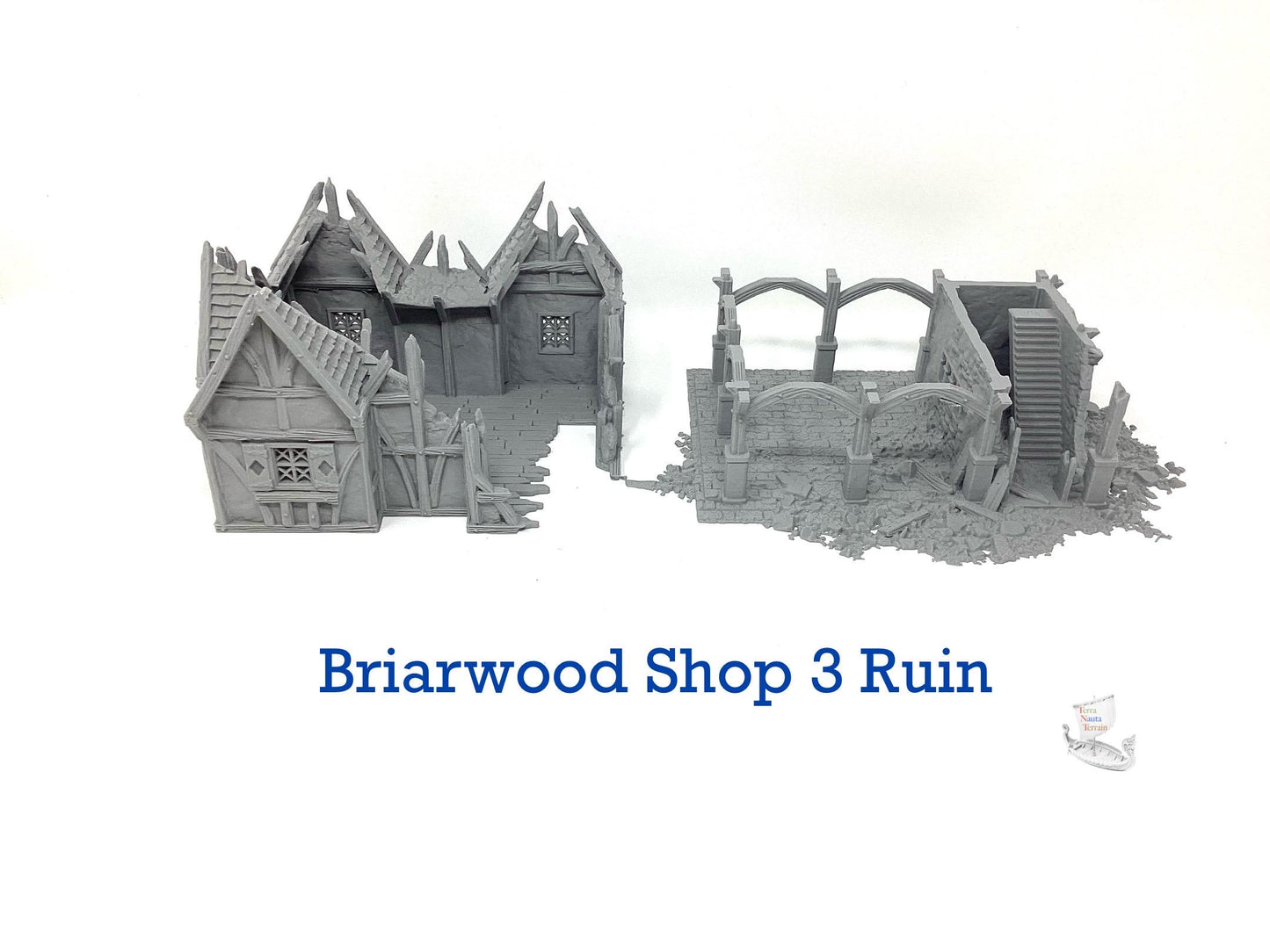 Briarwood Shop 3 Ruins