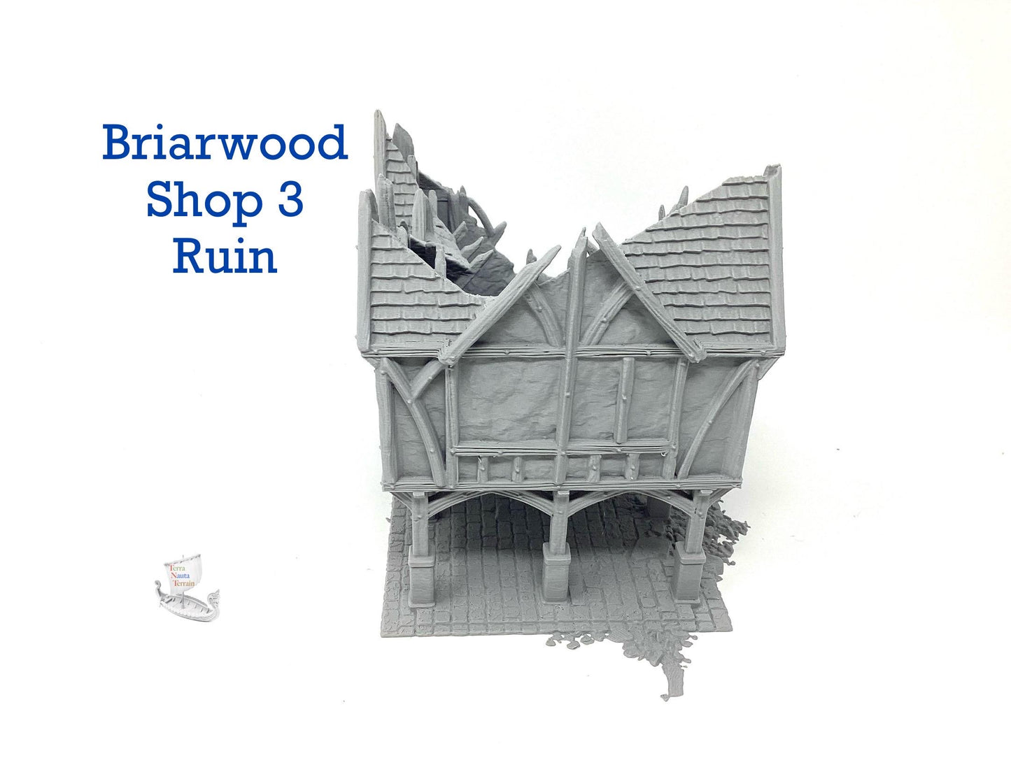 Briarwood Shop 3 Ruins