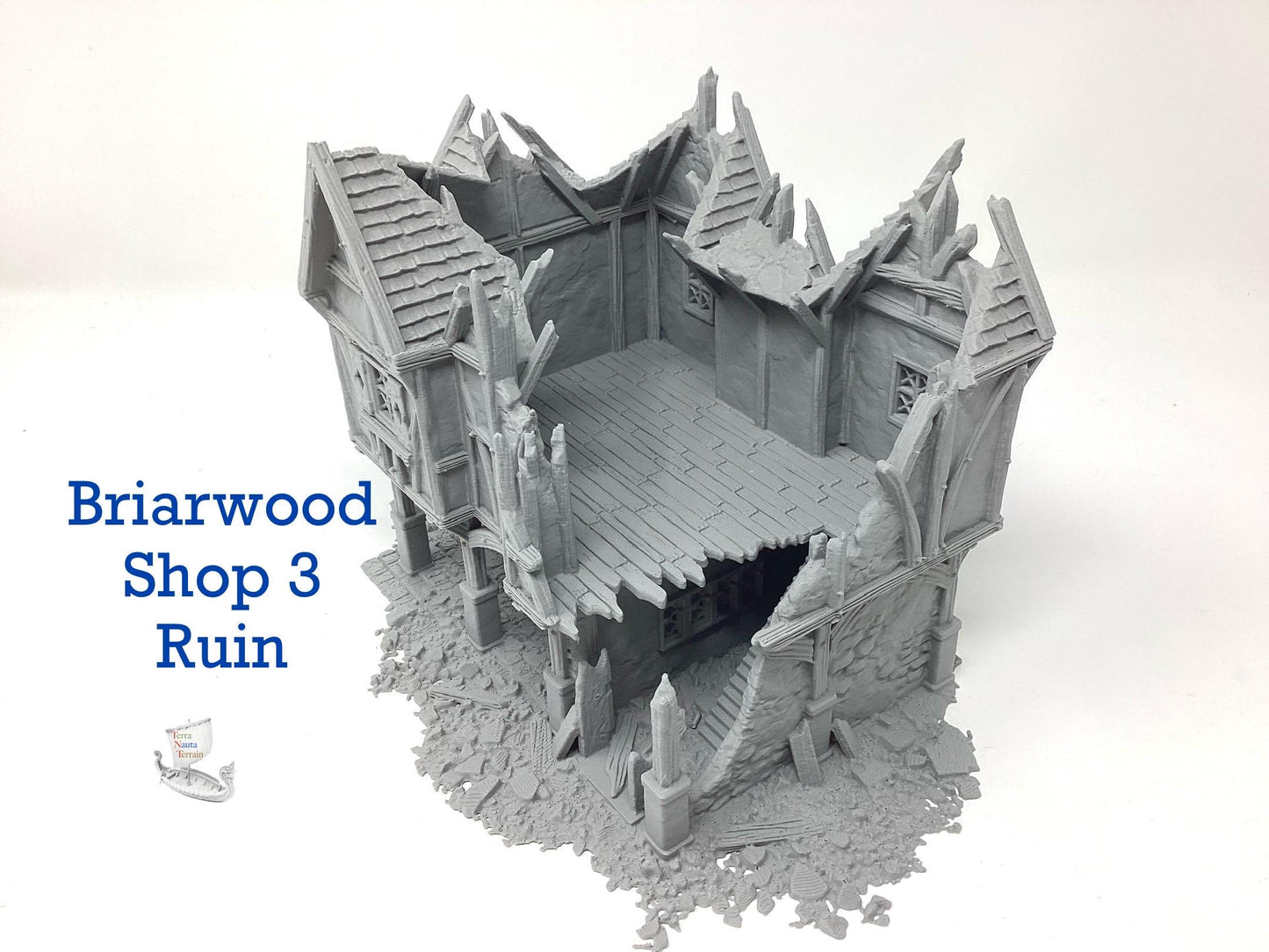 Briarwood Shop 3 Ruins