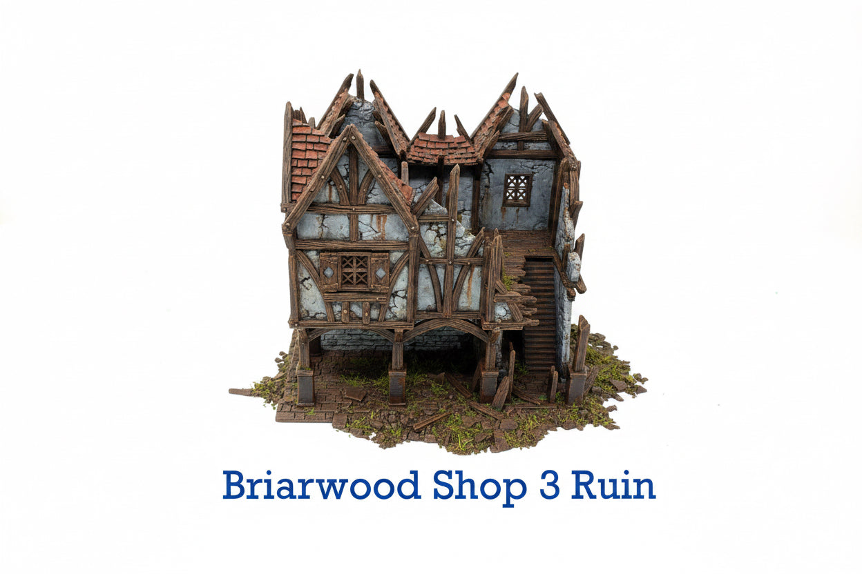 Briarwood Shop 3 Ruins